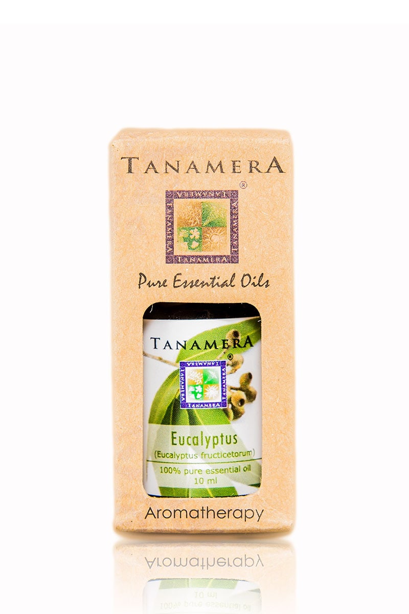 Essential oil Eucalyptus