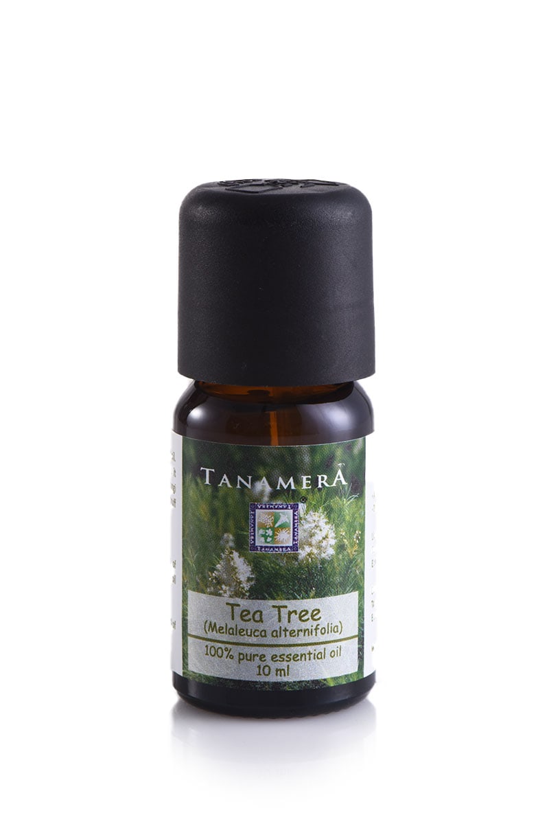 Essential oil Tea Tree
